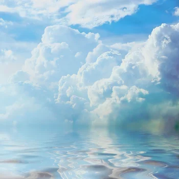 Laeacco Белое облако Морская Живописная фотозона Фон для фотосъемки Портретный Фотозона для фотосессии в фотостудии
