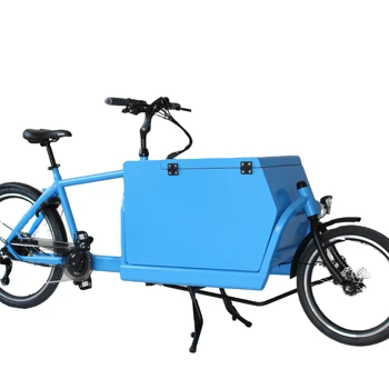 2-Колесный Электрический Грузовой Велосипед С Задним Мотором Мощностью 250 Вт Для Семейного Использования