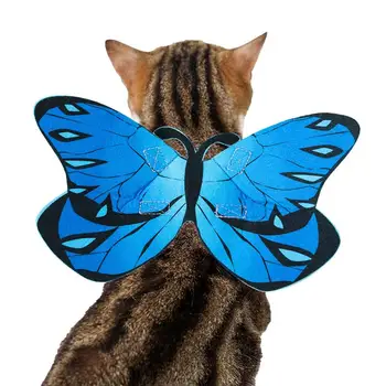 Крылья кошки-бабочки, декор для Хэллоуина, Крылья для кошек, войлочный материал, аксессуары для костюмов на Хэллоуин, Дни рождения, День Благодарения