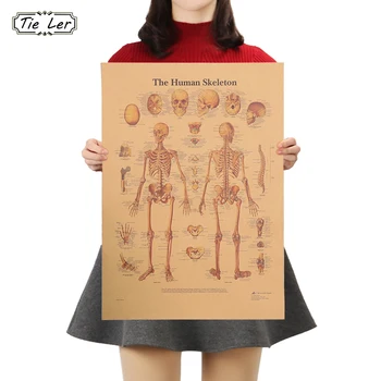 СВЯЖИТЕ Скелет структуры тела, Нервную систему, плакат, Домашний декор, ретро наклейка на стену из крафт-бумаги 42x30 см