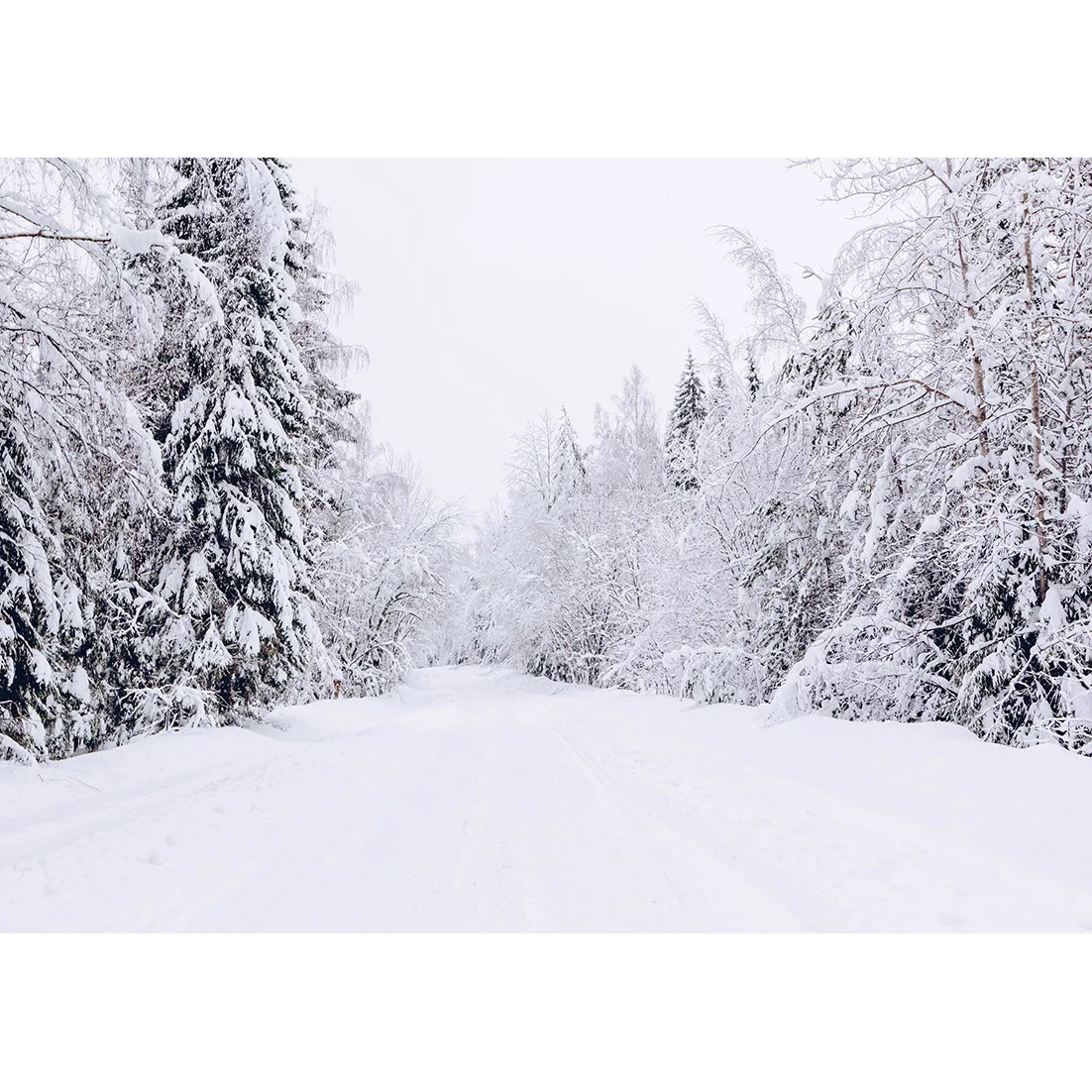 Снежная зимняя лесная дорога, белые фоны для фотографий, индивидуальные фоны для детской портретной фотосессии, реквизит для фотосъемки - 1